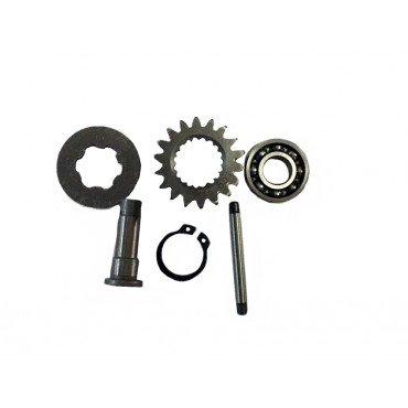 Arora Cg  Debri̇yaj Tami̇r Tk.