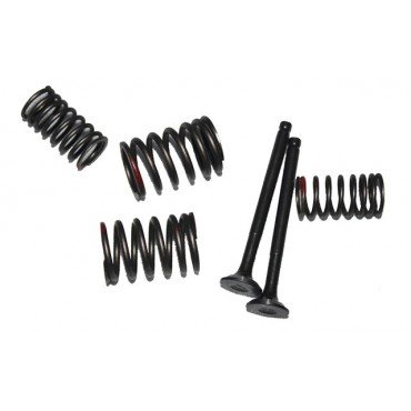 Arora Special 125  Emme-Eksoz Si̇bobu