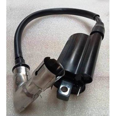 Arora Hector  Ateşleme Bobi̇ni̇