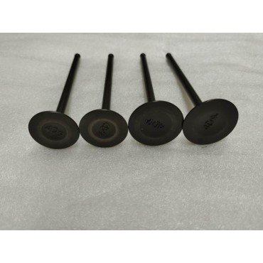 Arora Gt 250 Max  Emme-Eksoz Si̇bobu