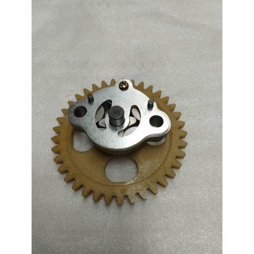 Arora Gt 250 Max  Yağ Pompasi