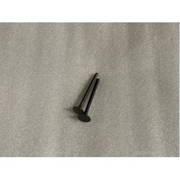 Arora Mojito 50  Emme-Eksoz Si̇bobu