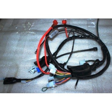 Arora Quantum  Elektri̇k Tesi̇sati (Euro 5)